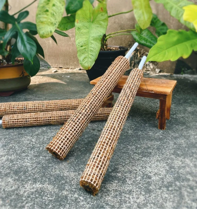 水苔棒
