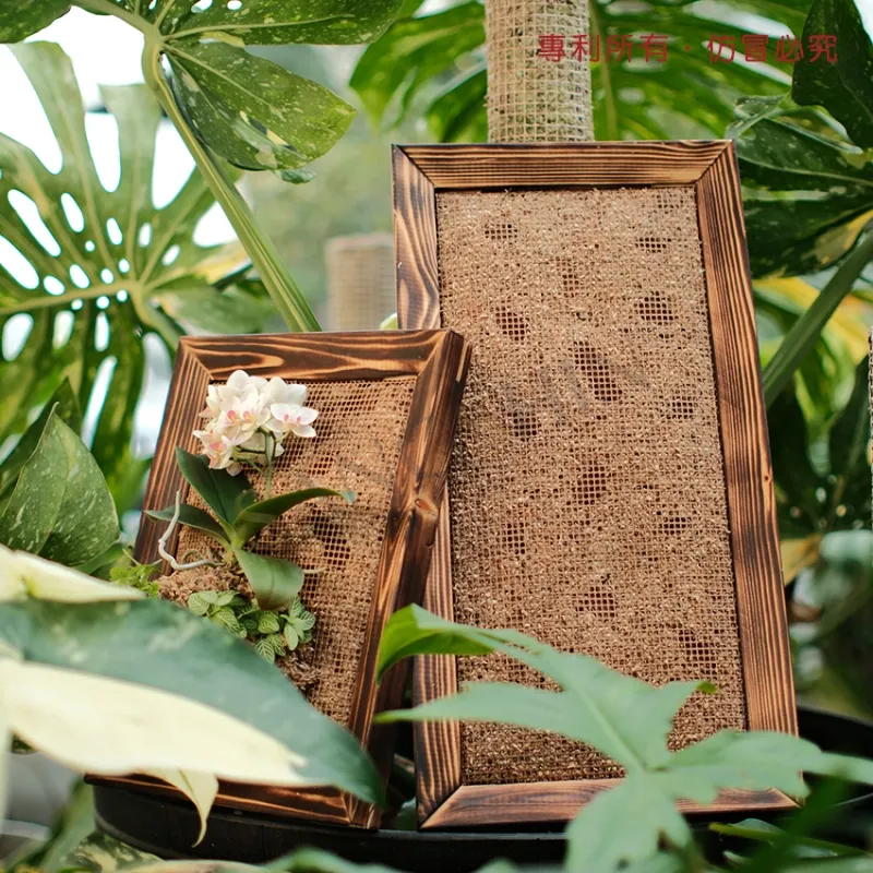 植物攀爬板